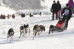 Lenk 2012 SM